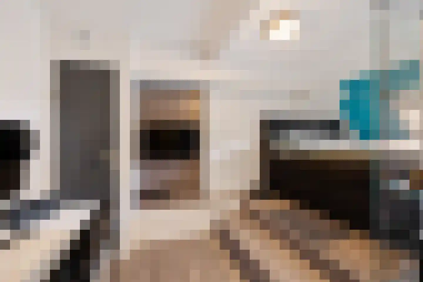 de Lichtenburg 8 Dalerveen thumbnail 31