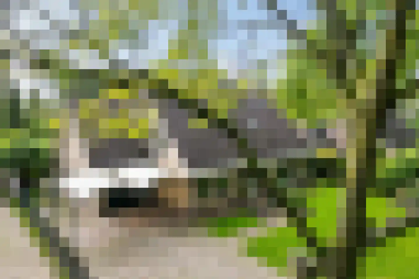 de Lichtenburg 8 Dalerveen thumbnail 4