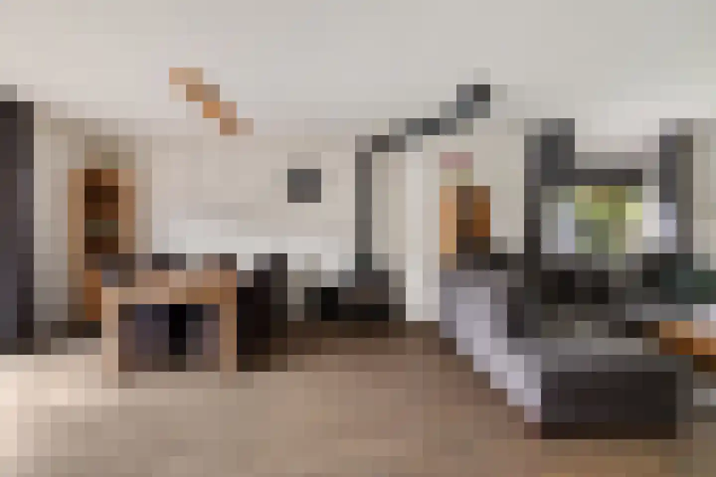 de Lichtenburg 8 Dalerveen thumbnail 7