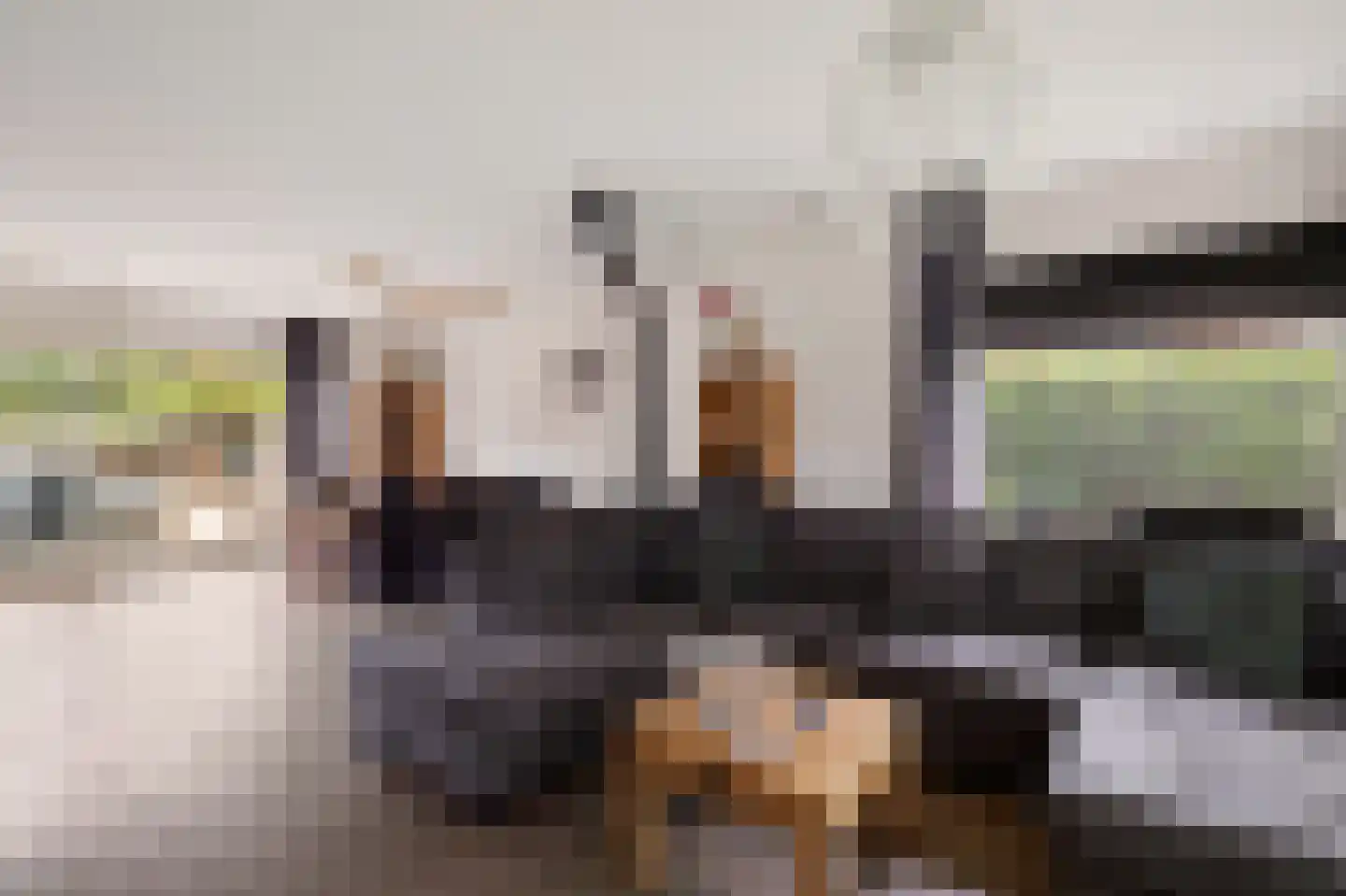 de Lichtenburg 8 Dalerveen thumbnail 8