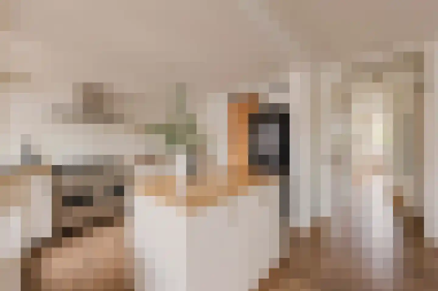De Liefde 14 Amsterdam thumbnail 10
