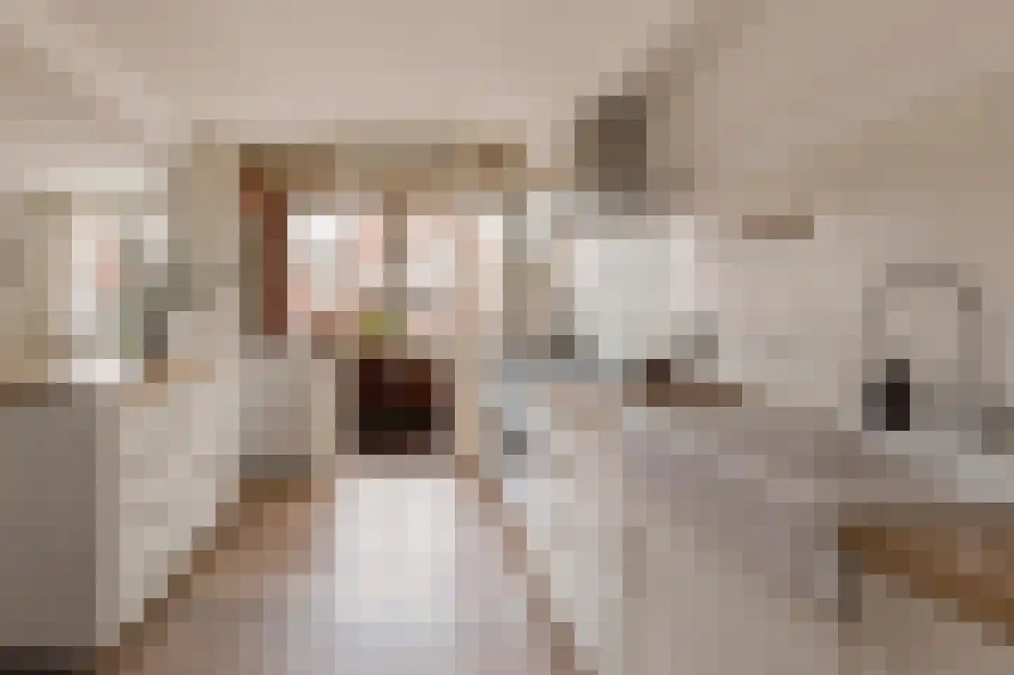 De Liefde 14 Amsterdam thumbnail 11