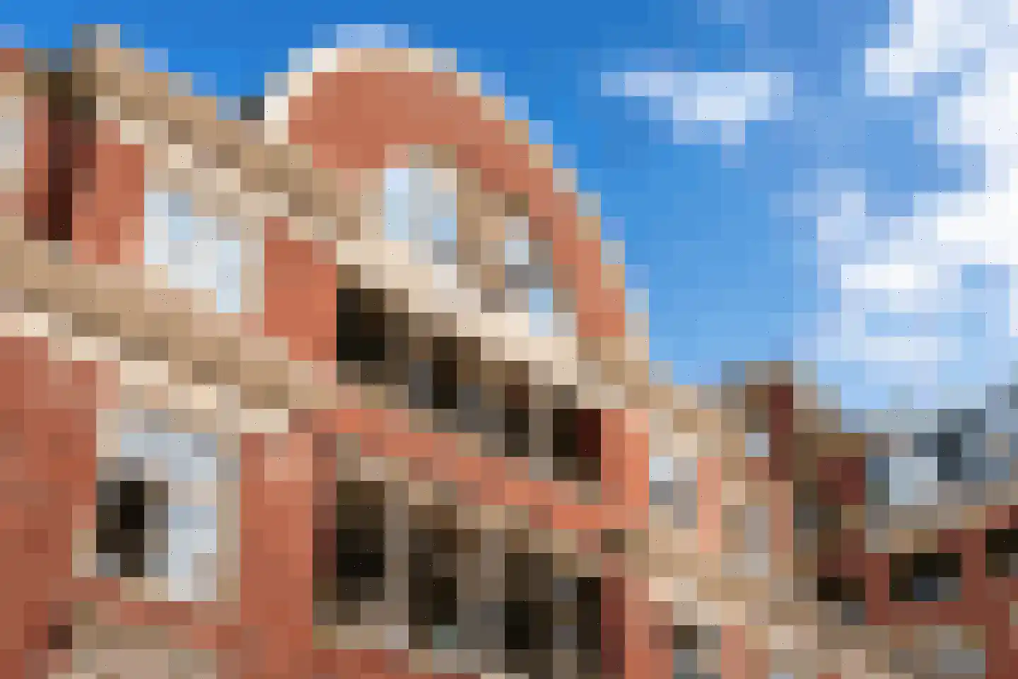 De Liefde 14 Amsterdam thumbnail 16