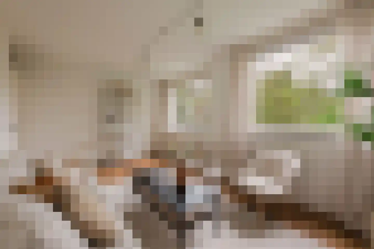 De Liefde 14 Amsterdam thumbnail 17
