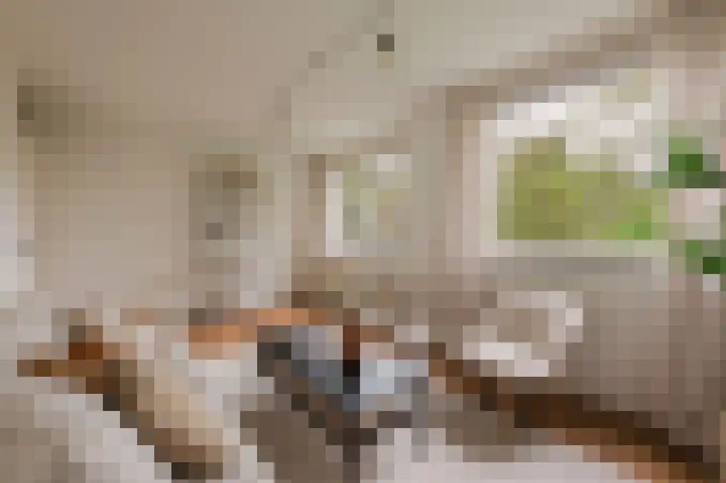 De Liefde 14 Amsterdam thumbnail 18