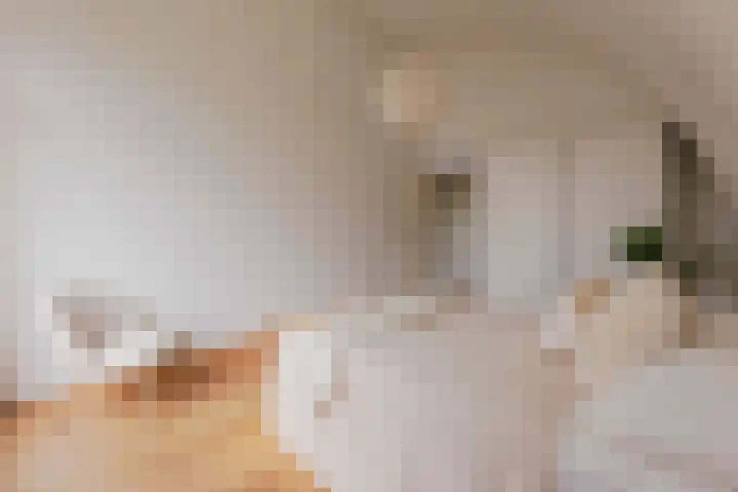 De Liefde 14 Amsterdam thumbnail 24