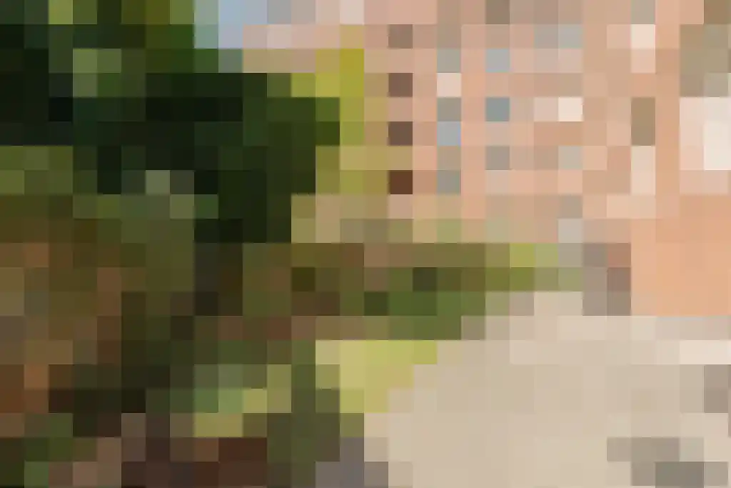 De Liefde 14 Amsterdam thumbnail 26