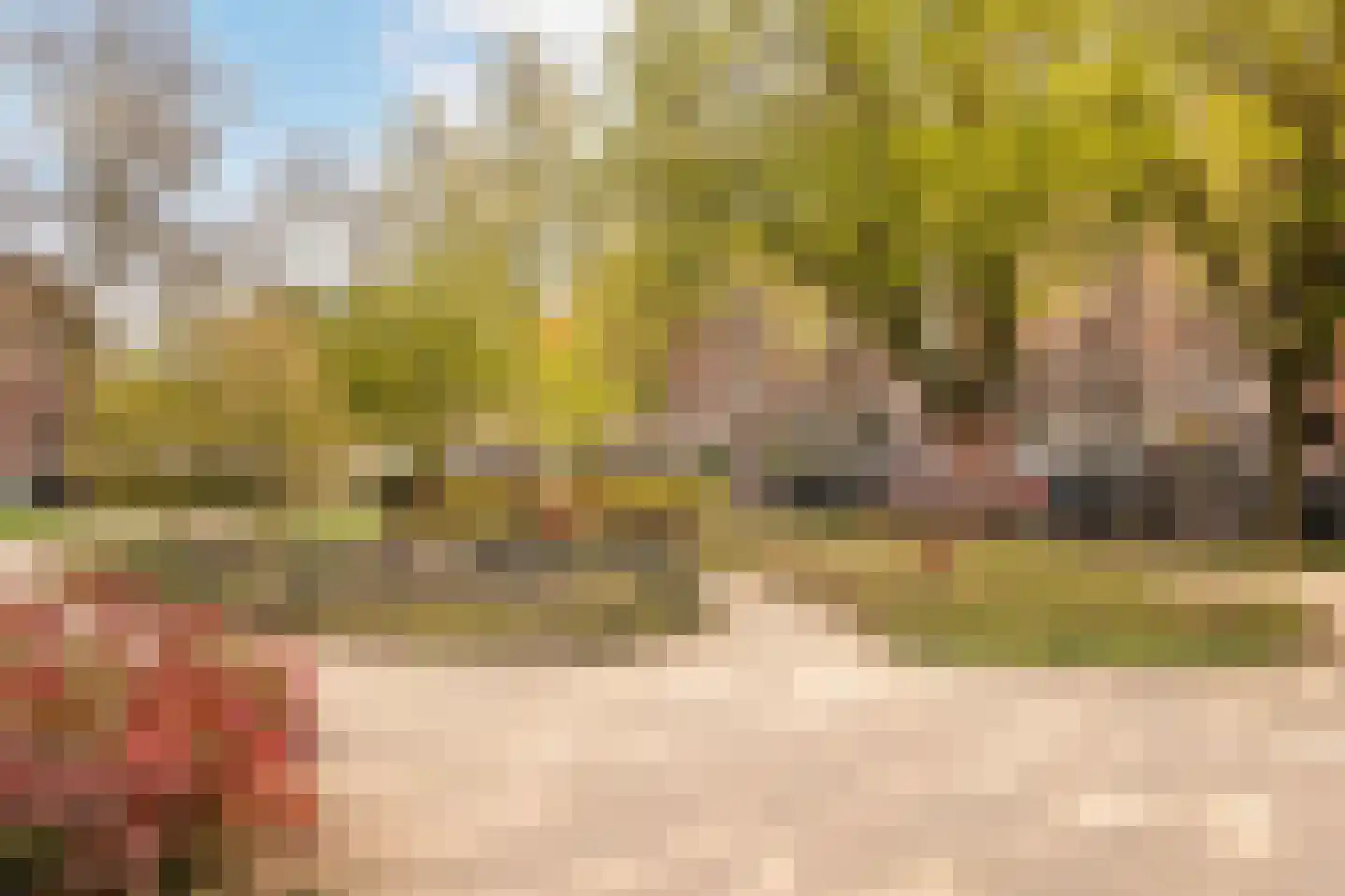 De Liefde 14 Amsterdam thumbnail 32