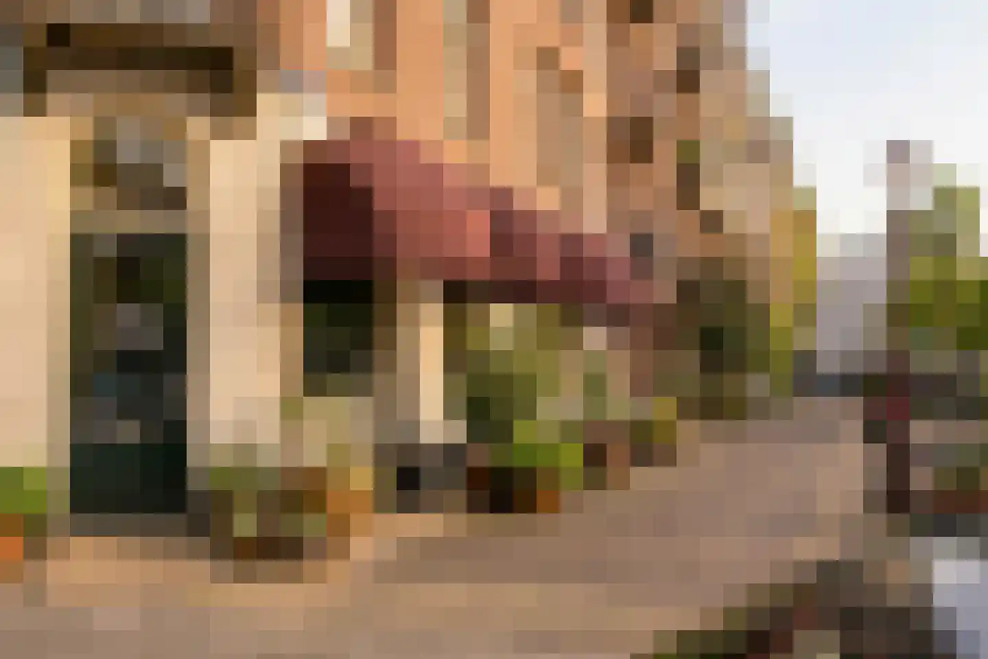 De Liefde 14 Amsterdam thumbnail 34