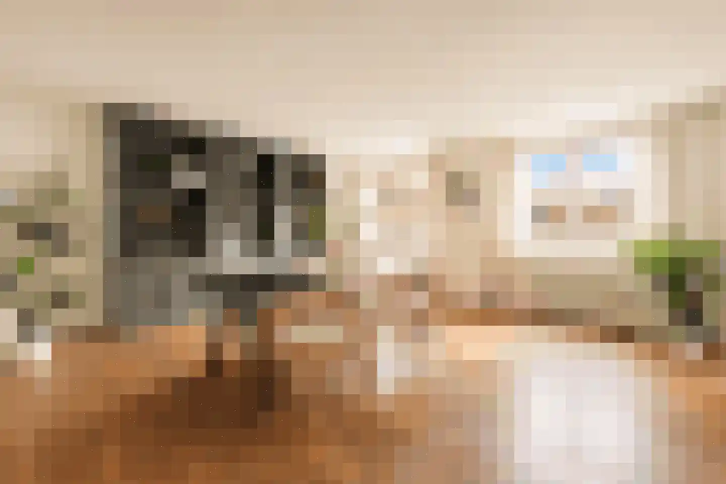 De Liefde 14 Amsterdam thumbnail 4
