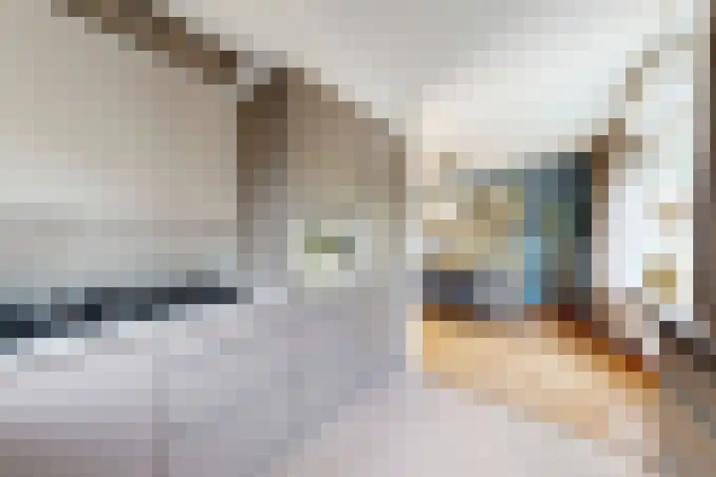 De Lierestraat 11 Willemstad thumbnail 23