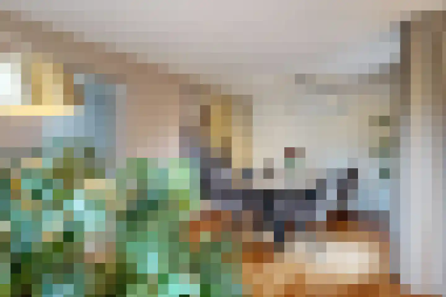De Lierestraat 11 Willemstad thumbnail 28