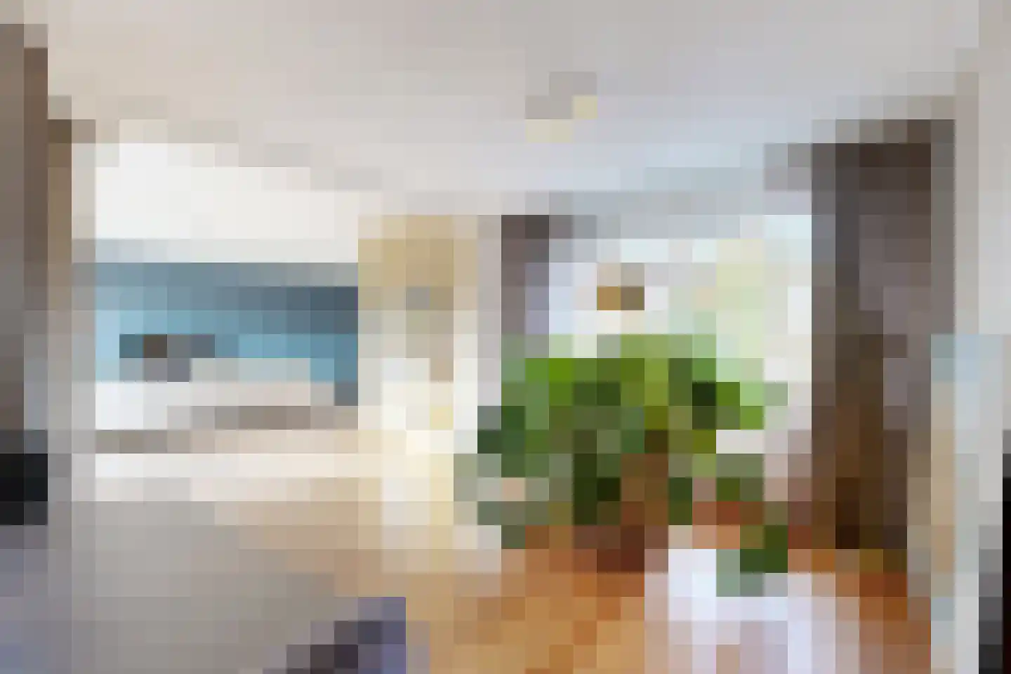 De Lierestraat 11 Willemstad thumbnail 32