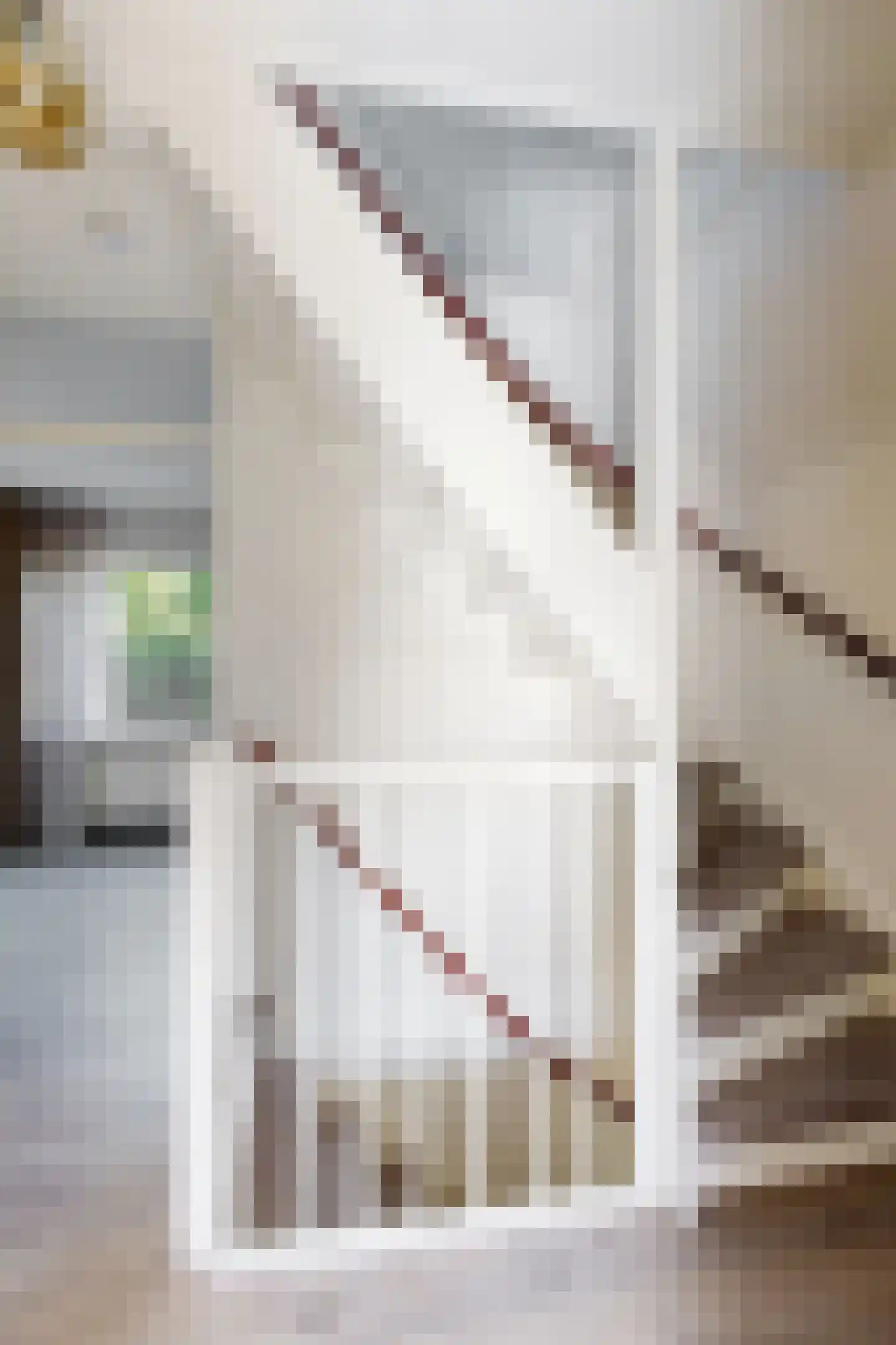 De Lierestraat 11 Willemstad thumbnail 41