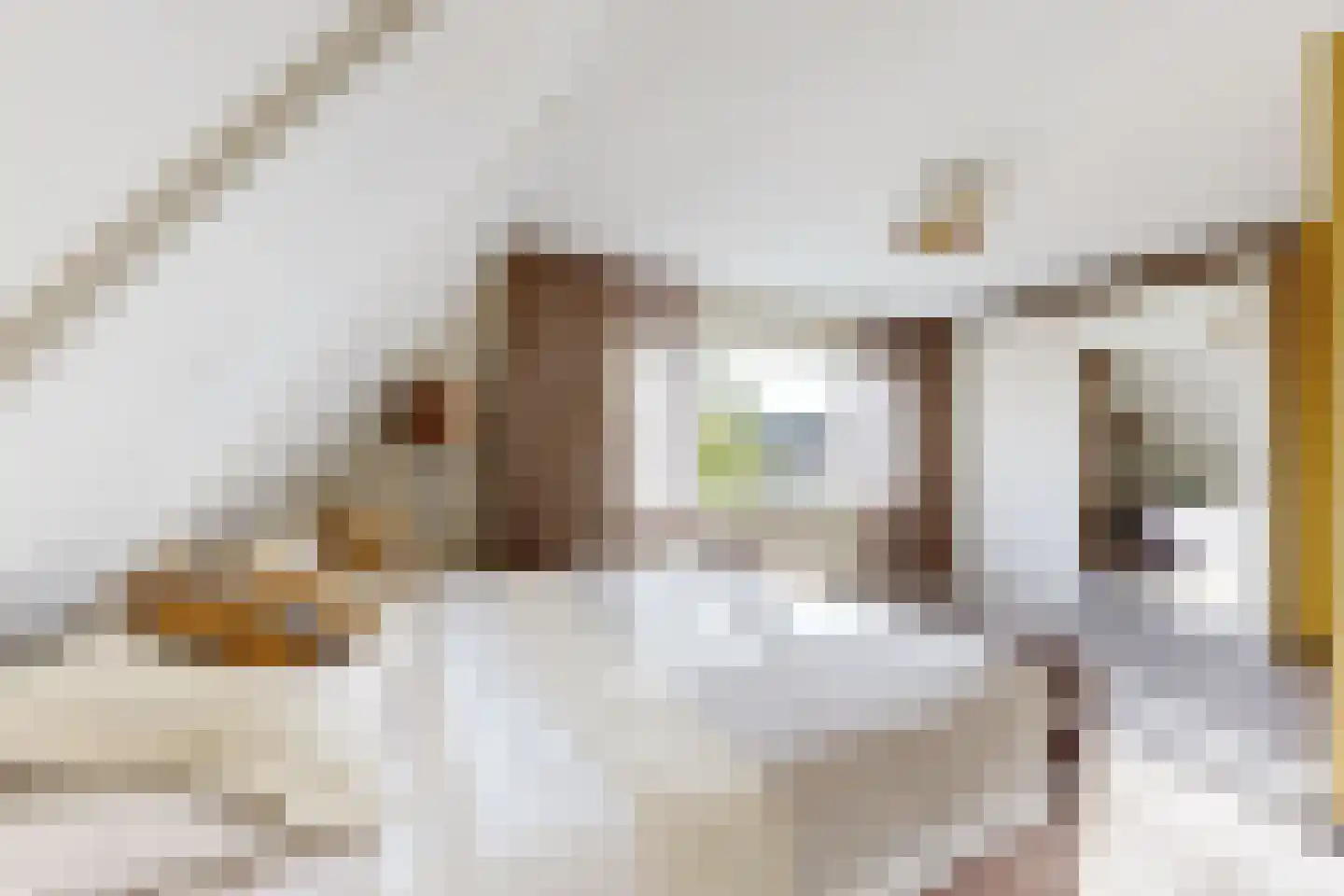 De Lierestraat 11 Willemstad thumbnail 45