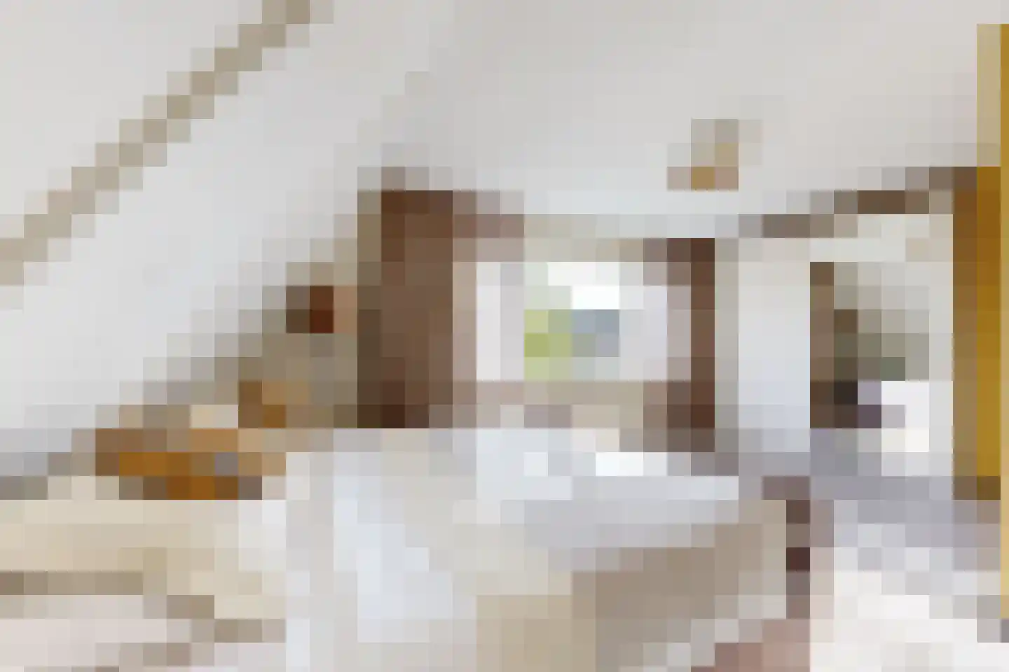 De Lierestraat 11 Willemstad thumbnail 5