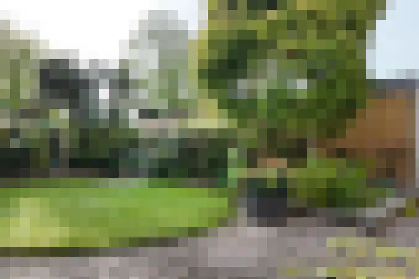 De Lierestraat 11 Willemstad thumbnail 64