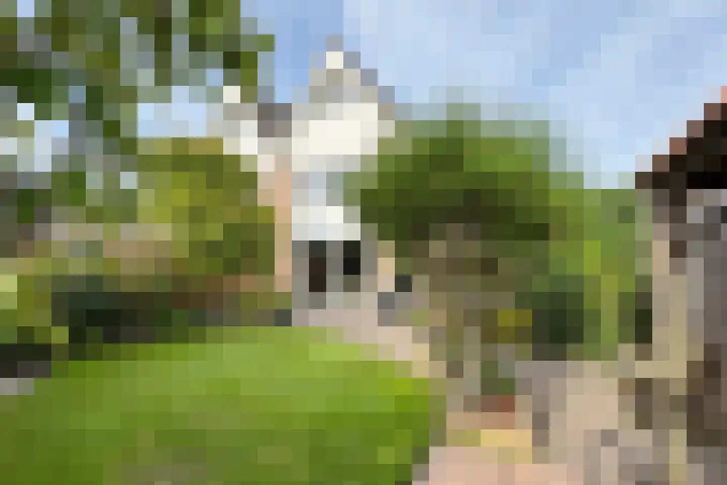 De Lierestraat 11 Willemstad thumbnail 69