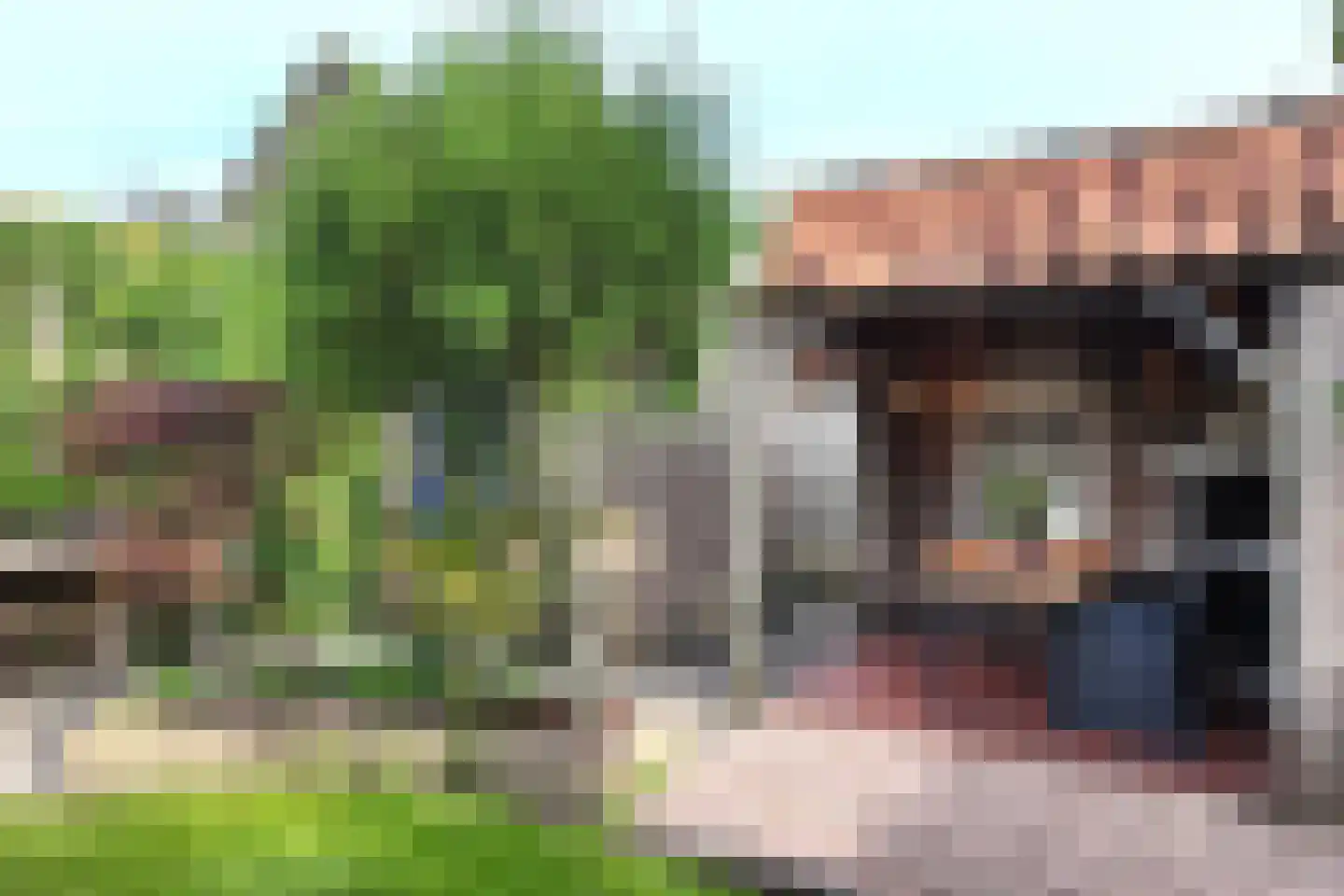 De Lierestraat 11 Willemstad thumbnail 70