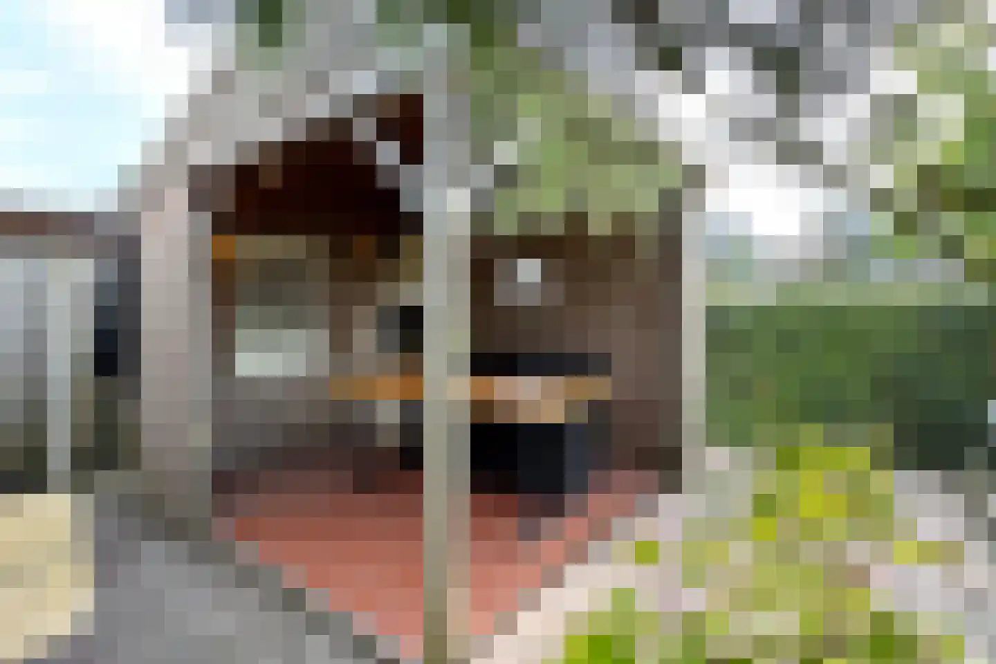 De Lierestraat 11 Willemstad thumbnail 71