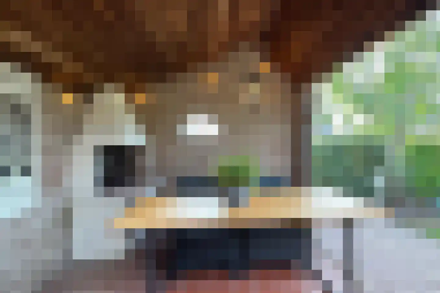 De Lierestraat 11 Willemstad thumbnail 73