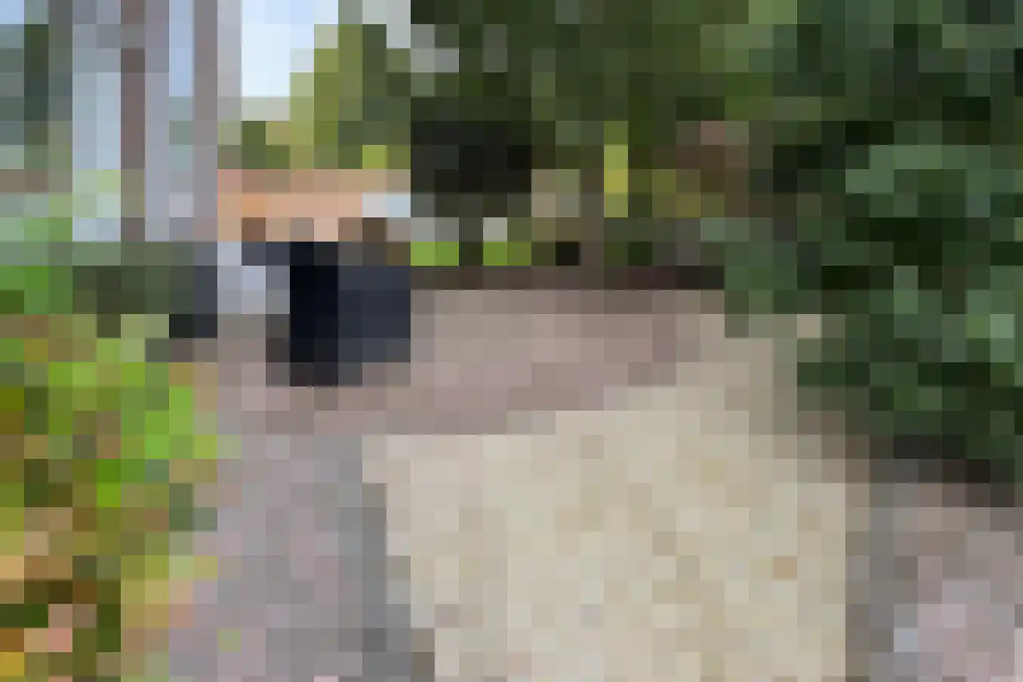 De Lierestraat 11 Willemstad thumbnail 77
