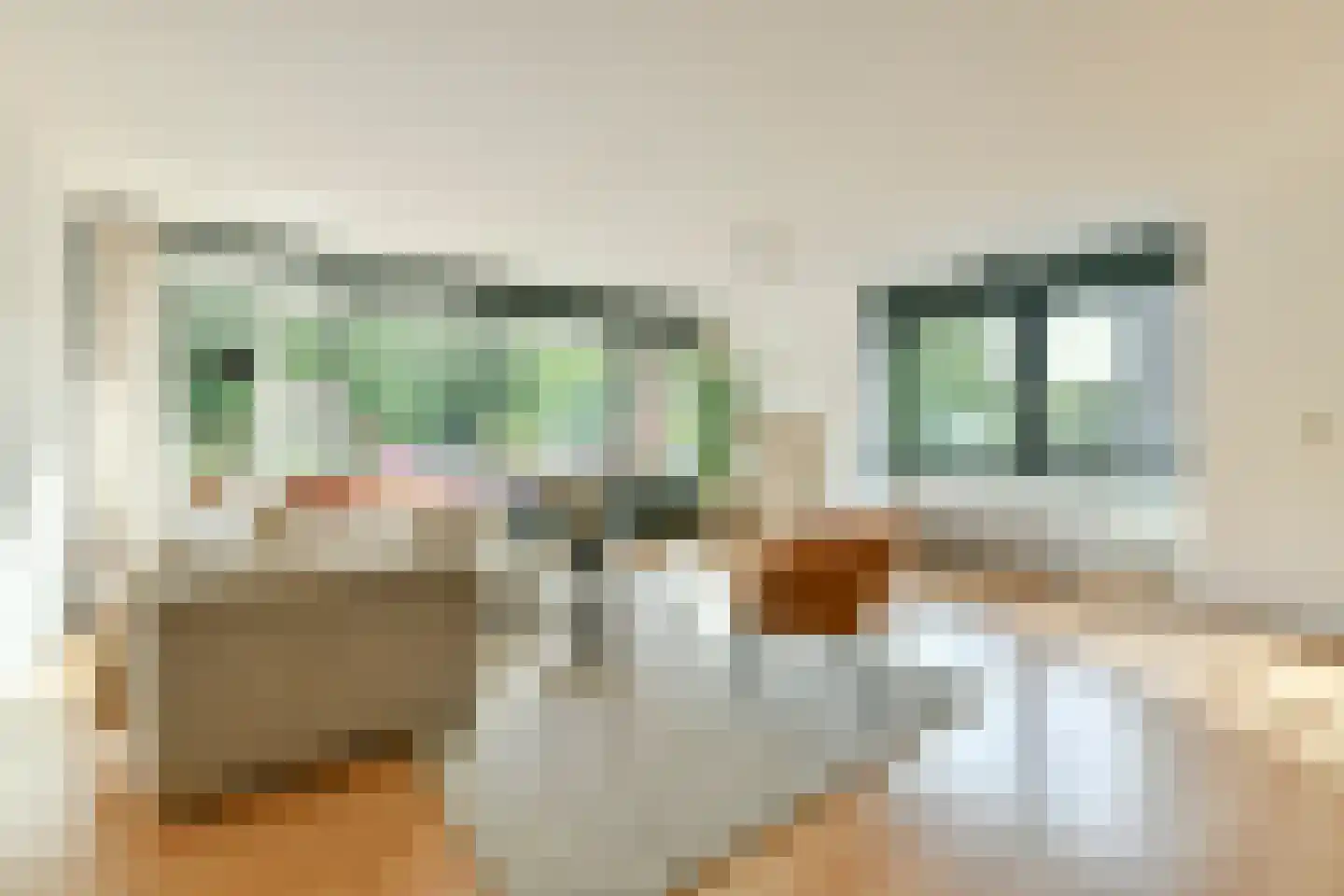 De Lierhof 12 Amsterdam thumbnail 10