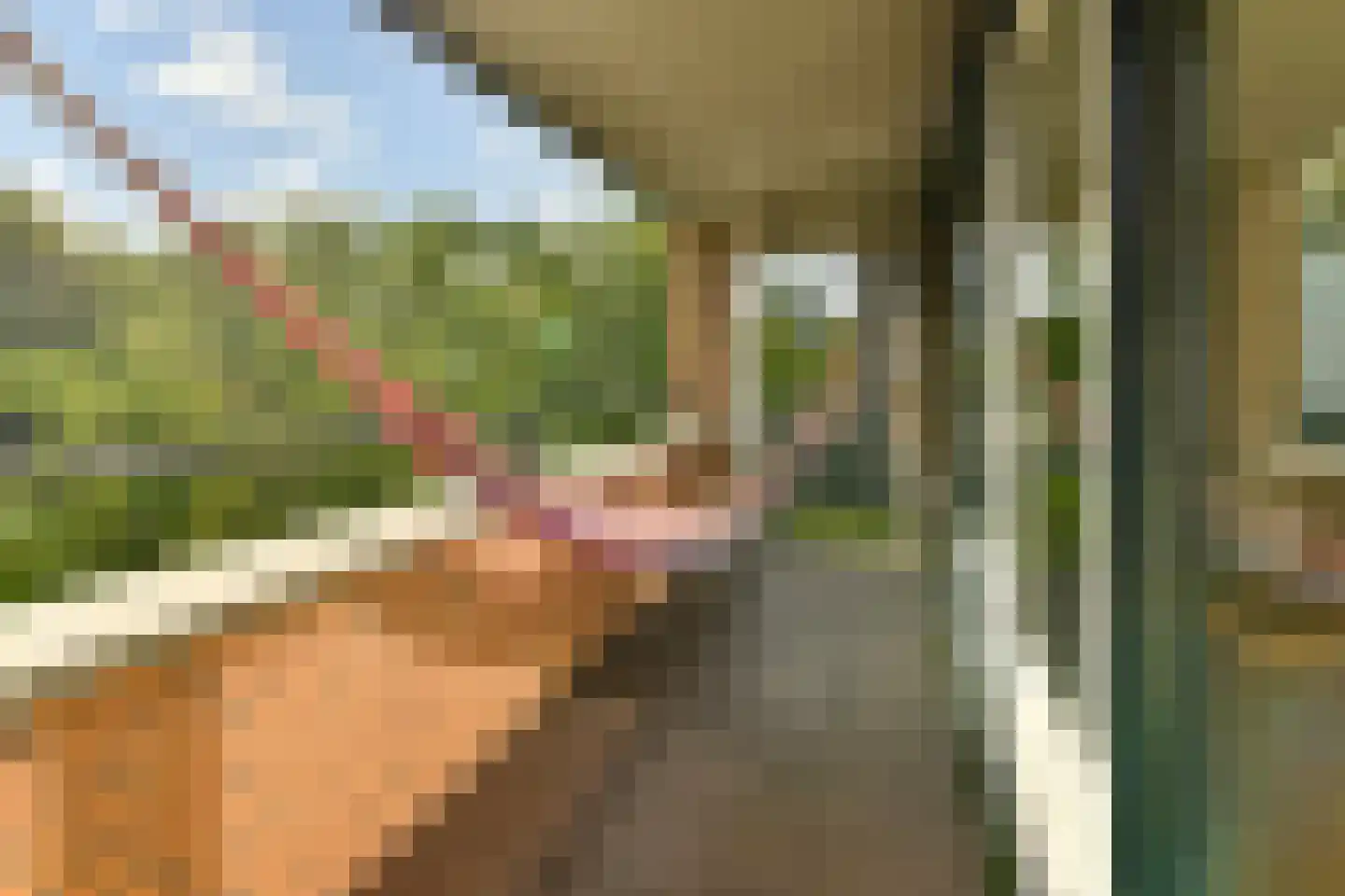 De Lierhof 12 Amsterdam thumbnail 14
