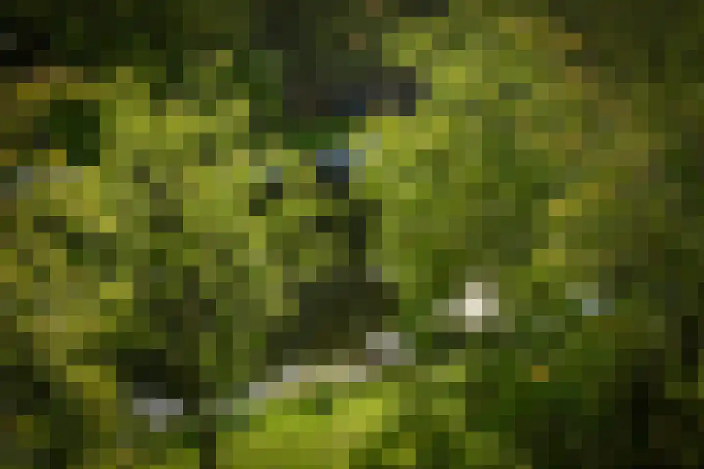De Lierhof 12 Amsterdam thumbnail 15