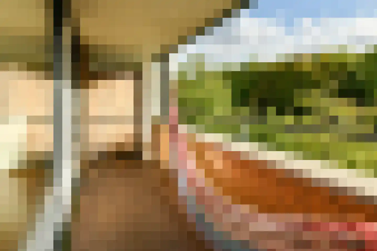 De Lierhof 12 Amsterdam thumbnail 17