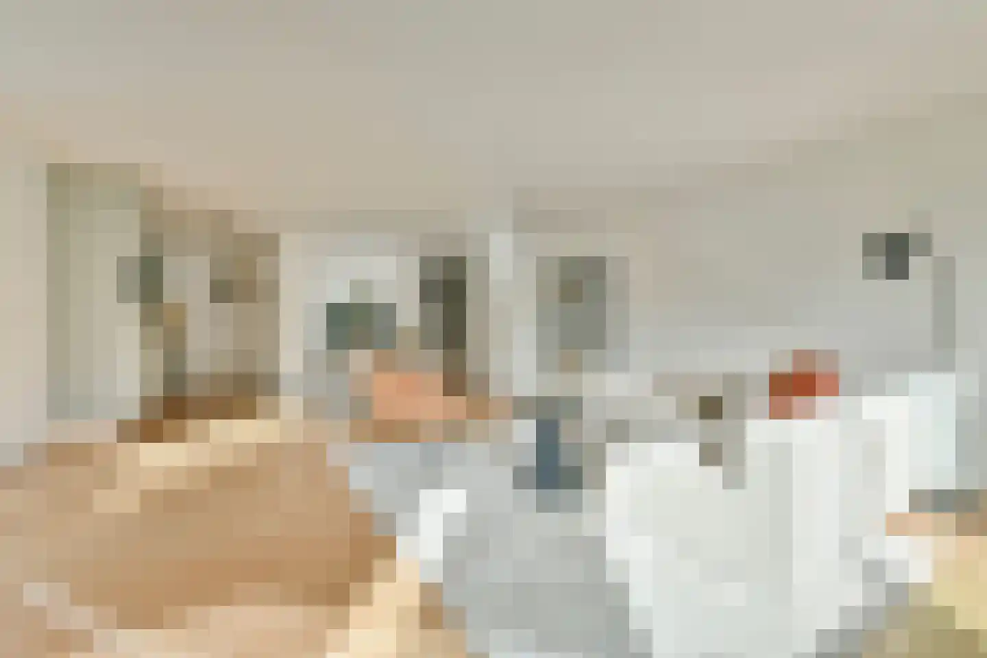 De Lierhof 12 Amsterdam thumbnail 22