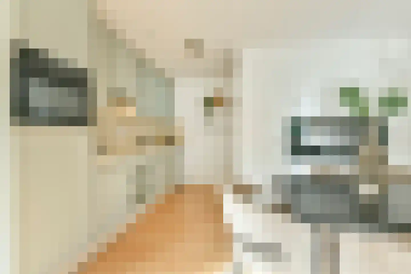 De Lierhof 12 Amsterdam thumbnail 24