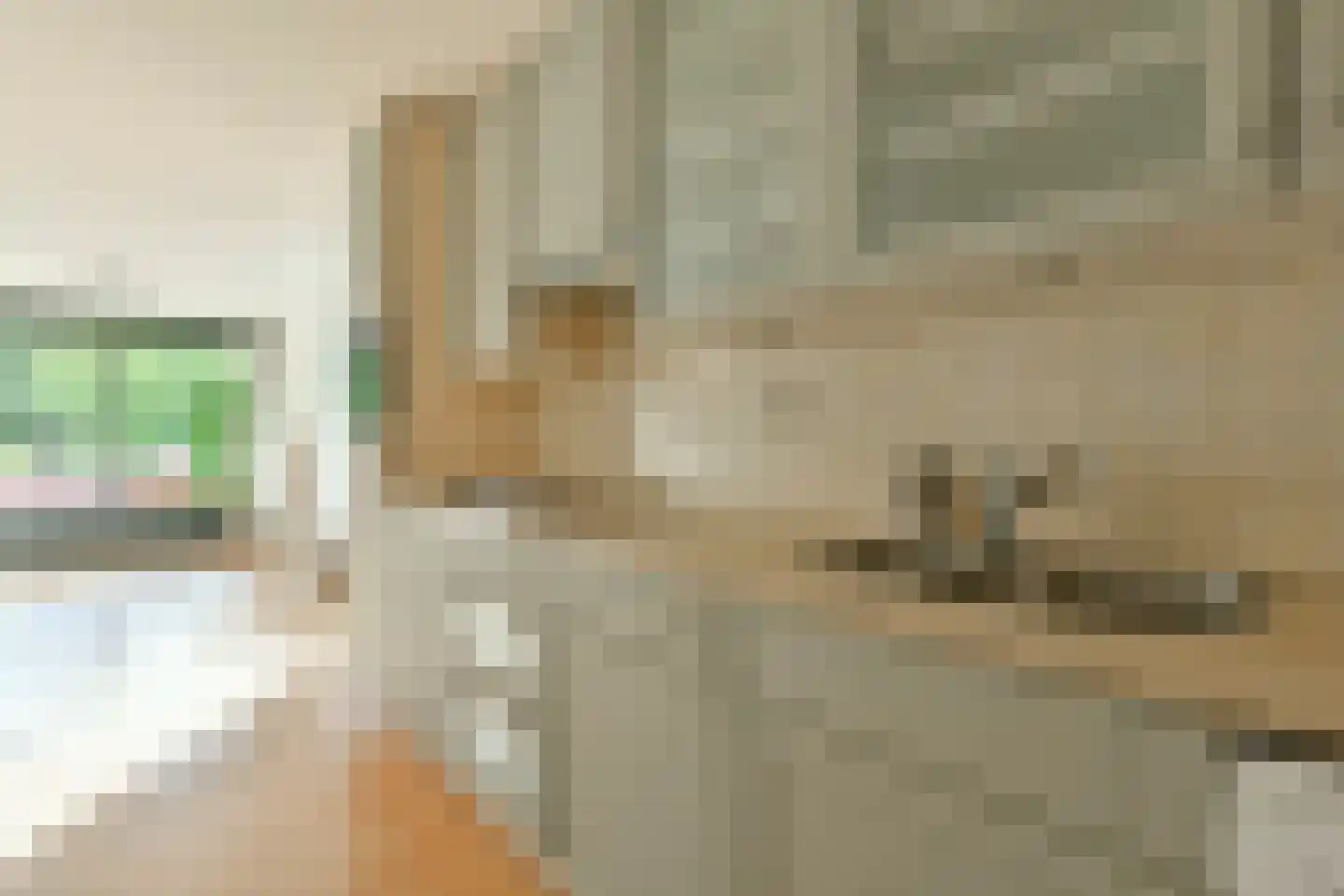 De Lierhof 12 Amsterdam thumbnail 25