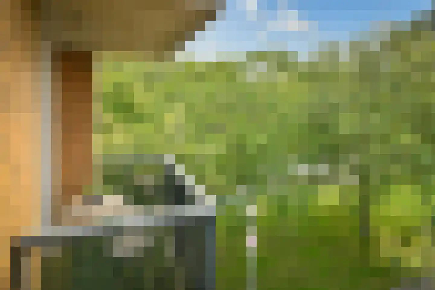 De Lierhof 12 Amsterdam thumbnail 27