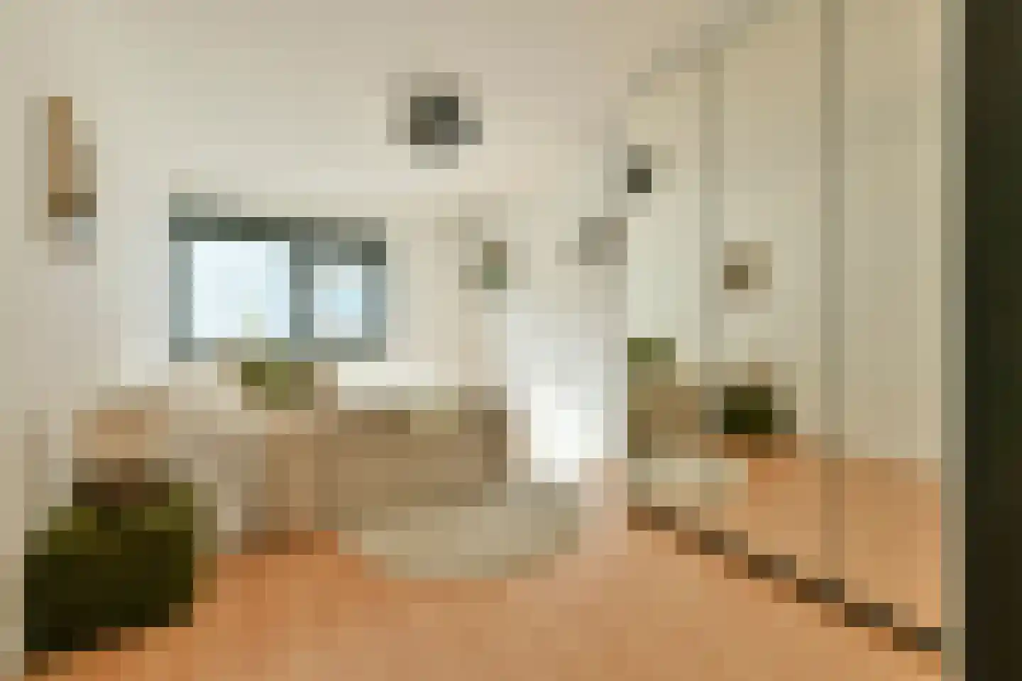 De Lierhof 12 Amsterdam thumbnail 30