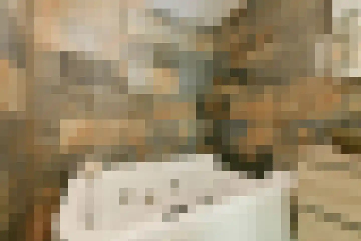 De Lierhof 12 Amsterdam thumbnail 33