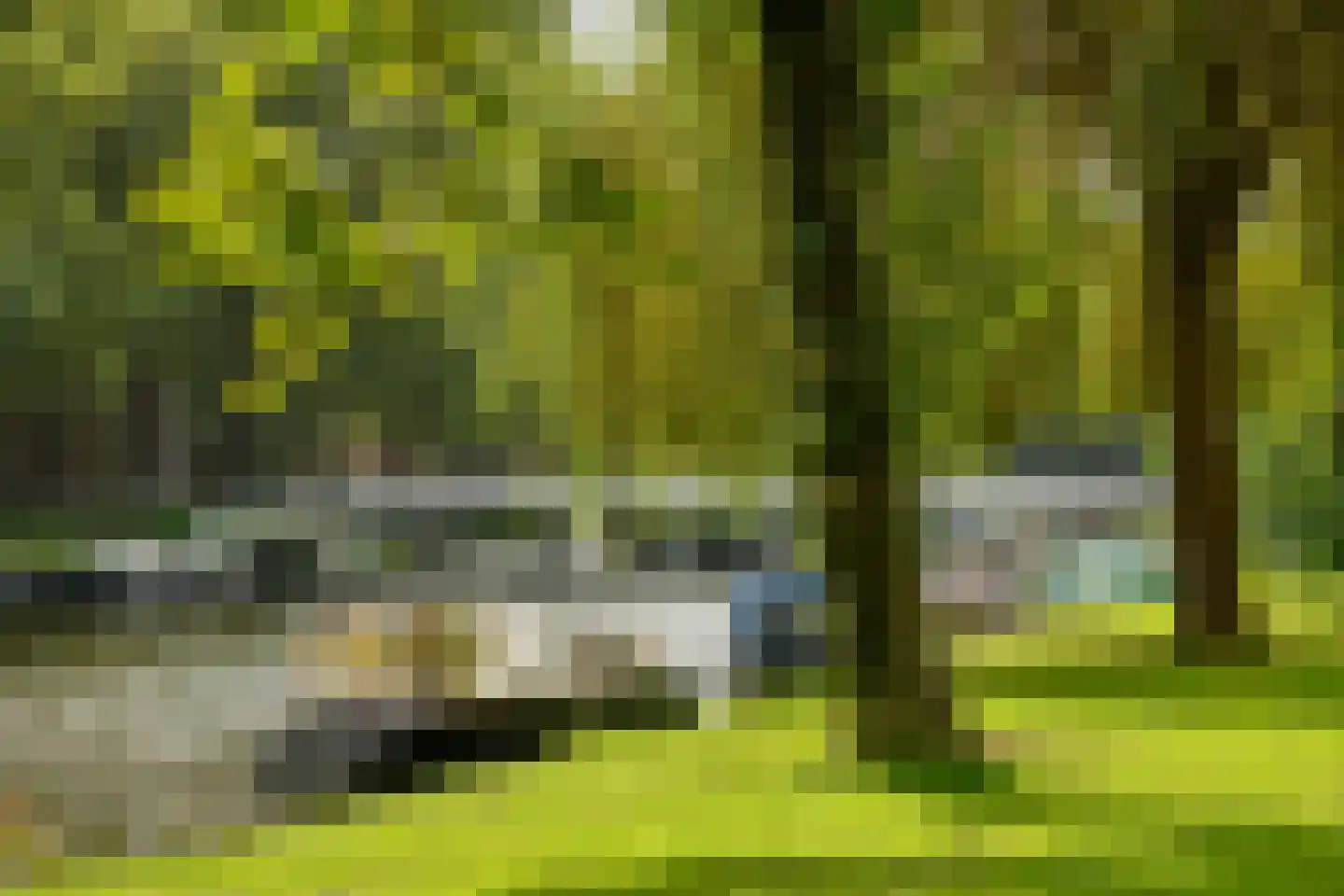 De Lierhof 12 Amsterdam thumbnail 4