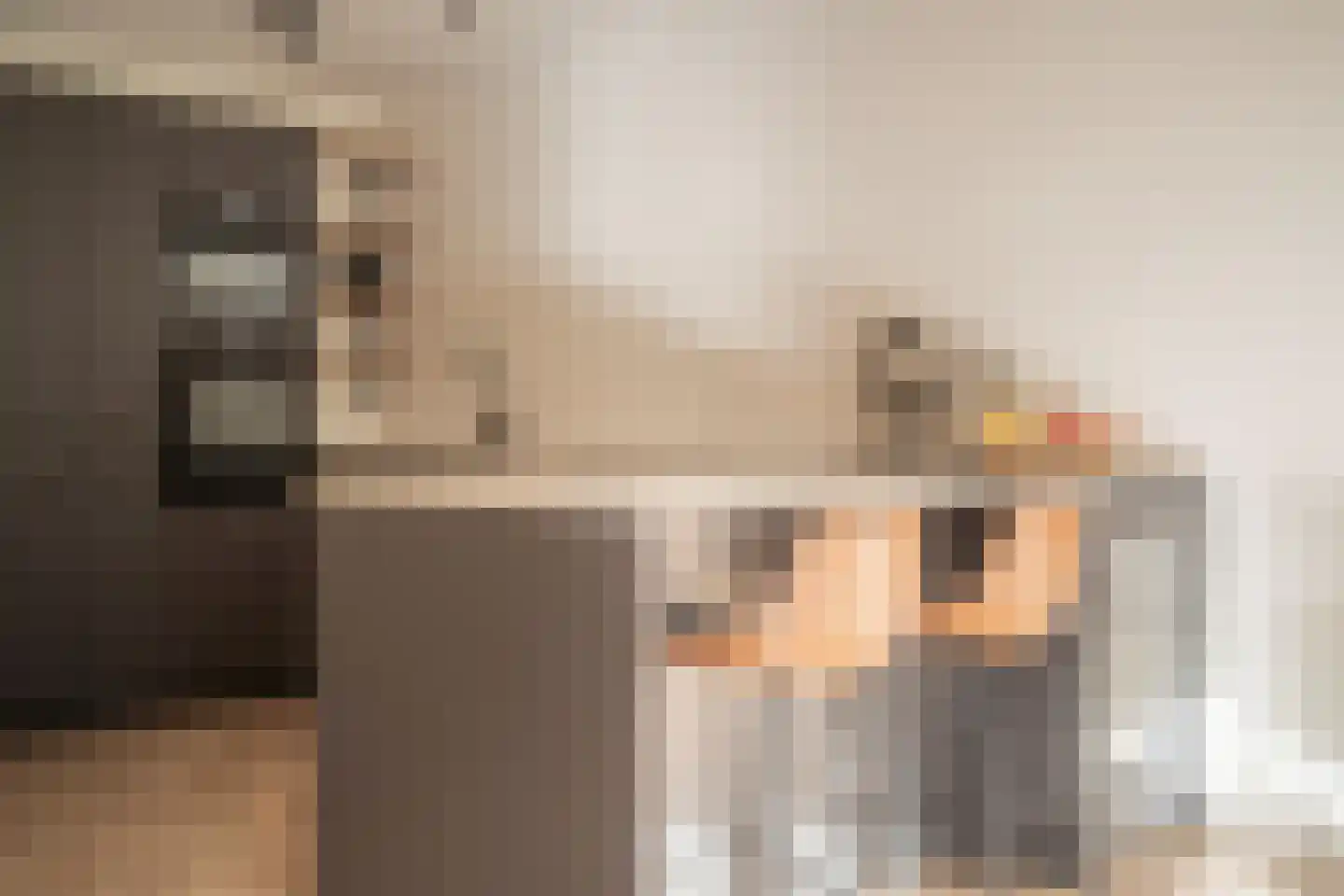 De Lierhof 14 Amsterdam thumbnail 18