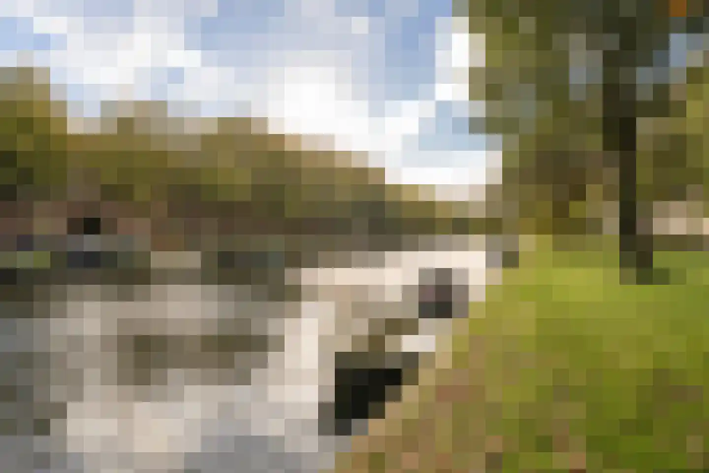 De Lierhof 14 Amsterdam thumbnail 29