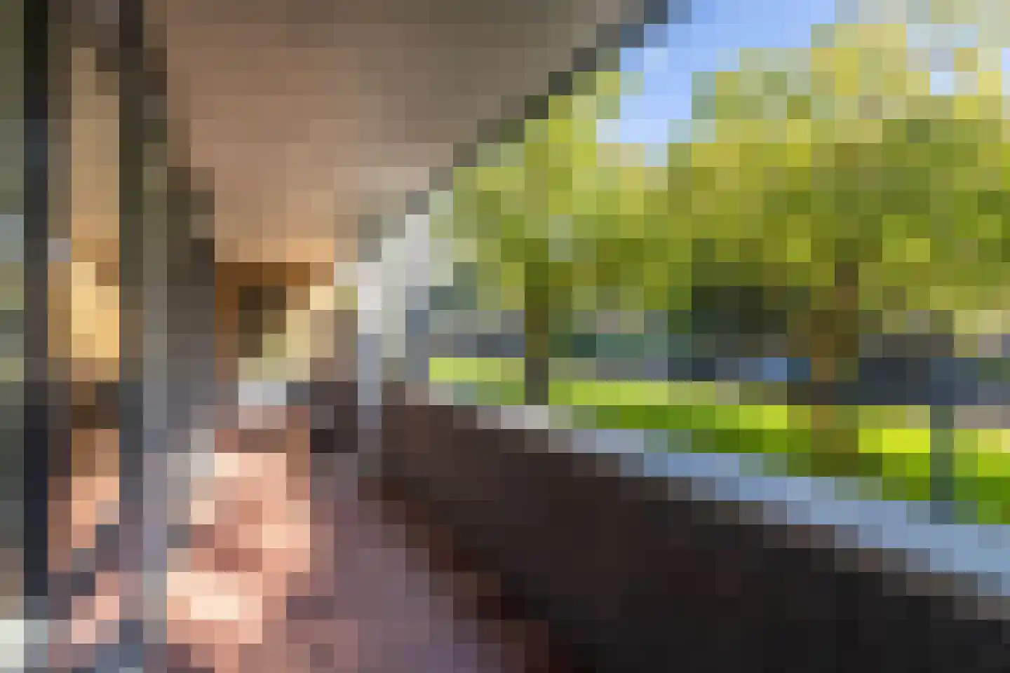 De Lierhof 2 Amsterdam thumbnail 13