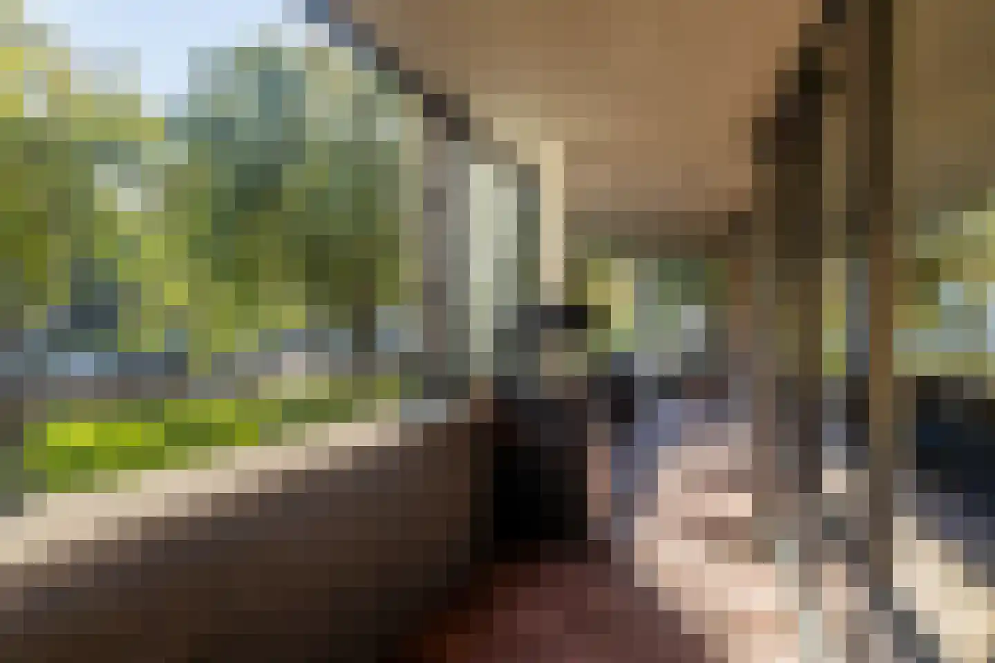 De Lierhof 2 Amsterdam thumbnail 14