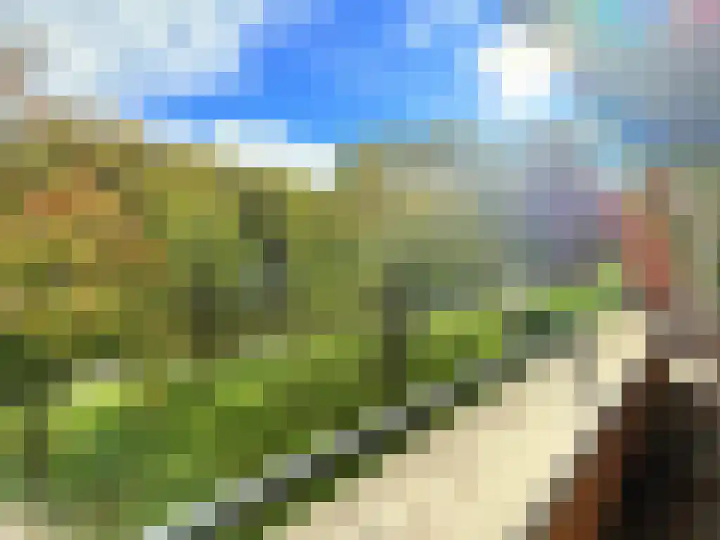 De Lierhof 2 Amsterdam thumbnail 4