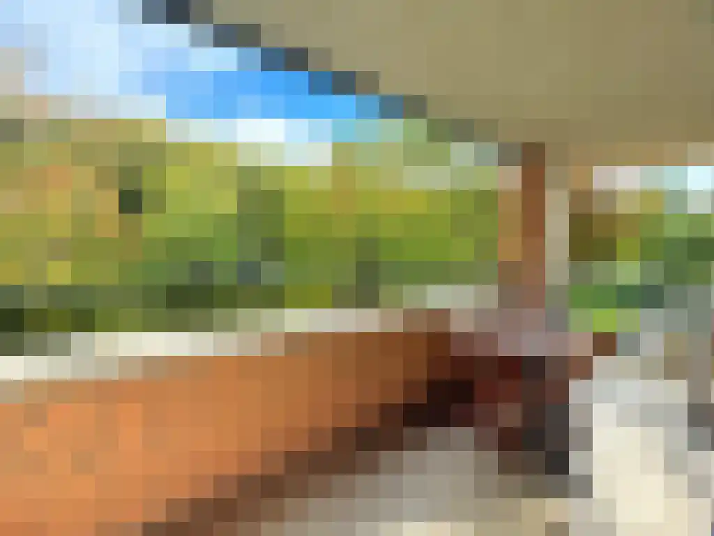 De Lierhof 2 Amsterdam thumbnail 5