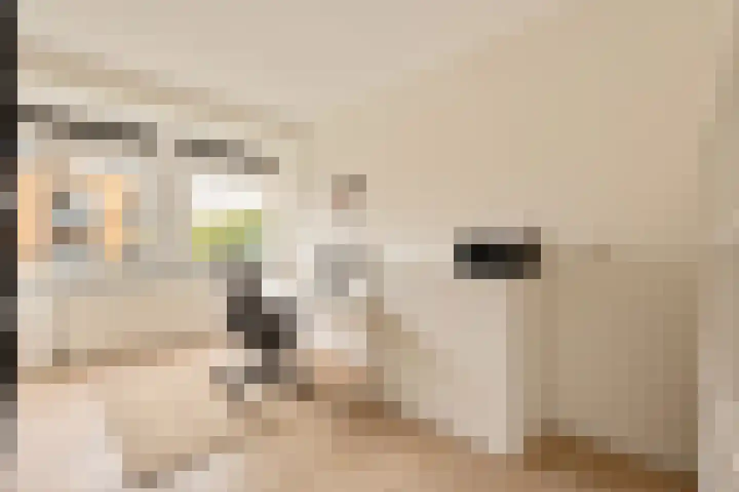 De Lierhof 24 Amsterdam thumbnail 11