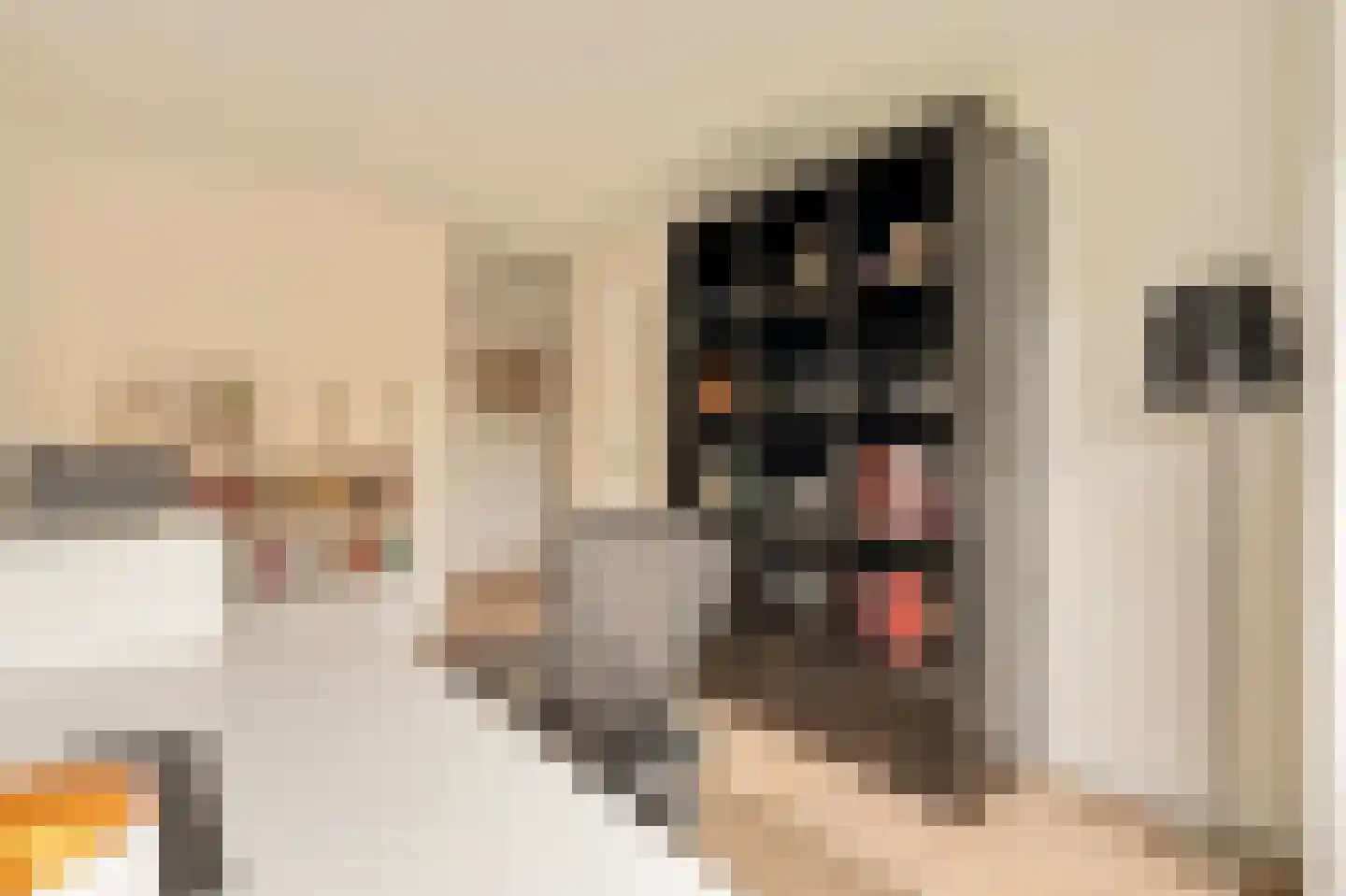 De Lierhof 24 Amsterdam thumbnail 12