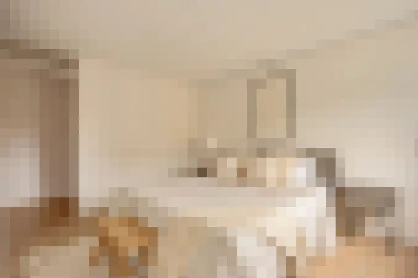 De Lierhof 24 Amsterdam thumbnail 13