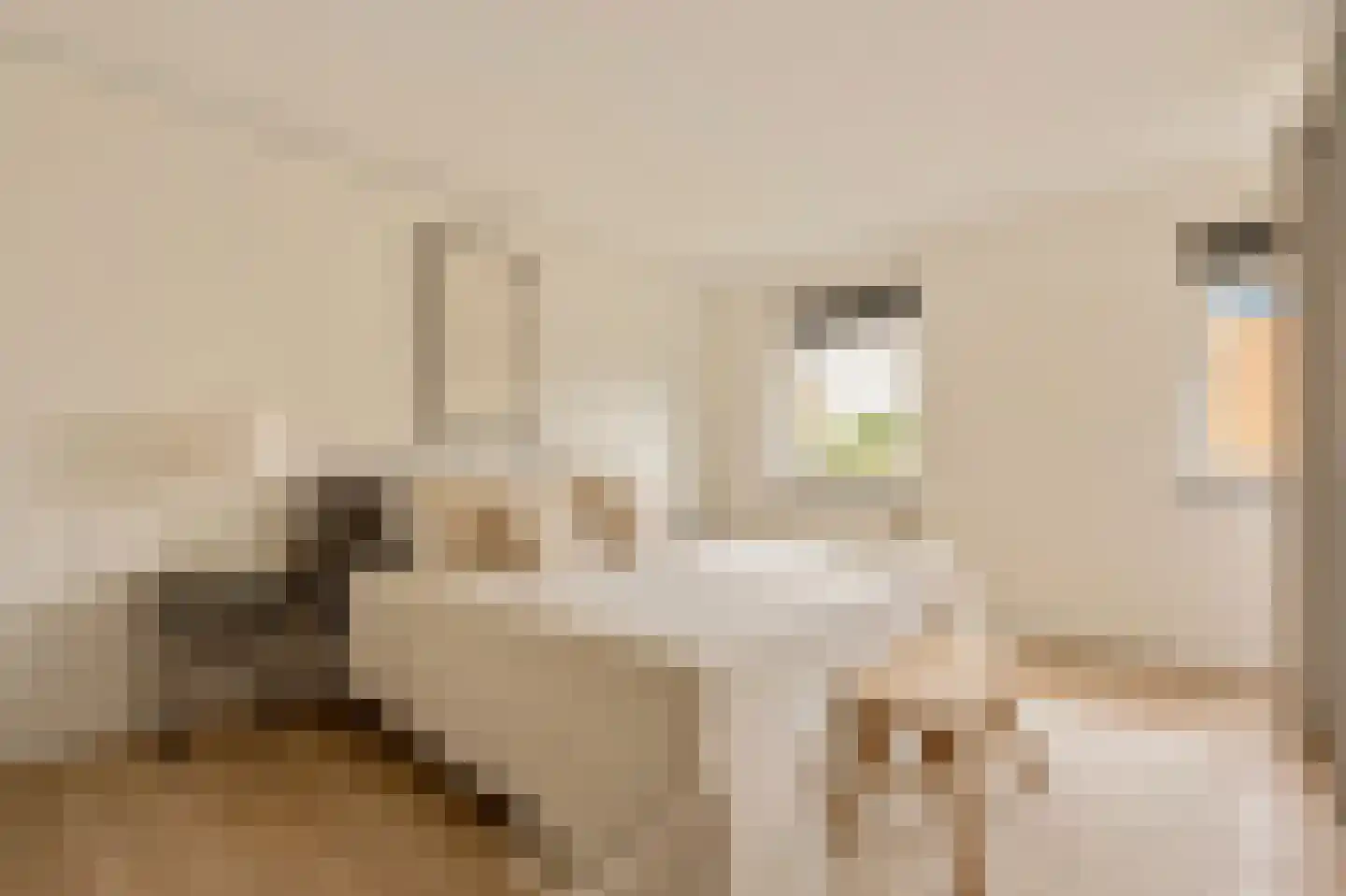 De Lierhof 24 Amsterdam thumbnail 15