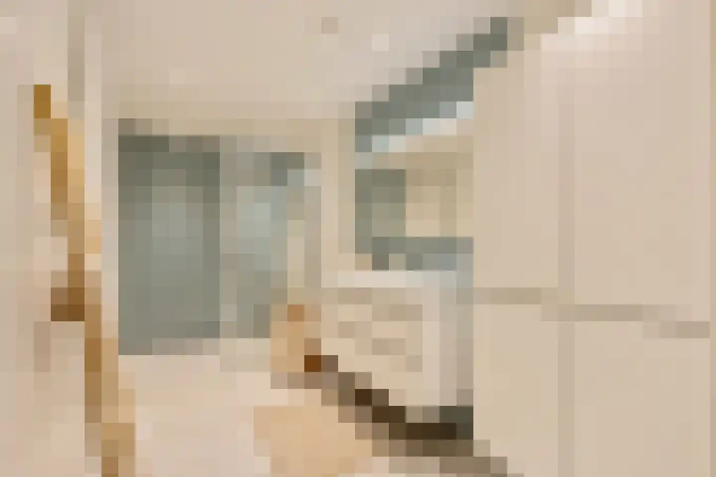 De Lierhof 24 Amsterdam thumbnail 16