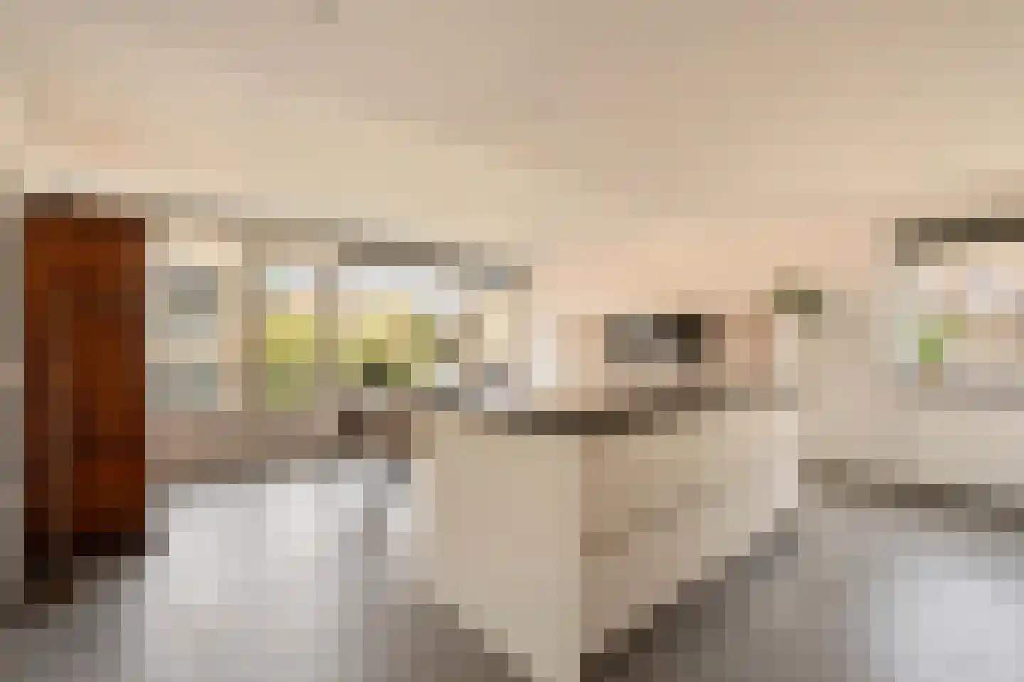 De Lierhof 24 Amsterdam thumbnail 19