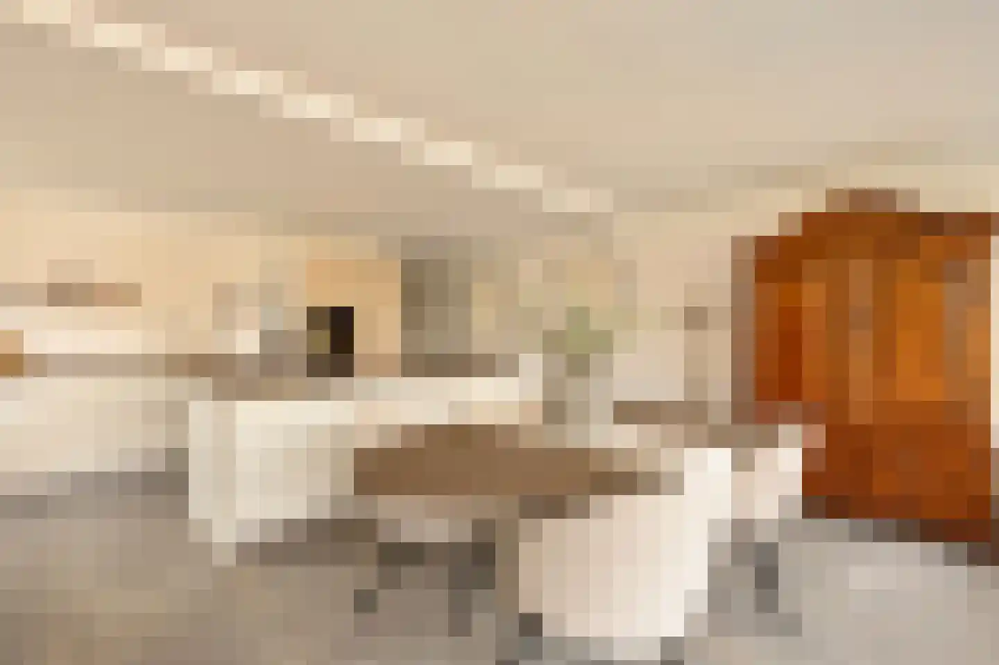 De Lierhof 24 Amsterdam thumbnail 20